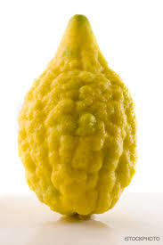 Etrog